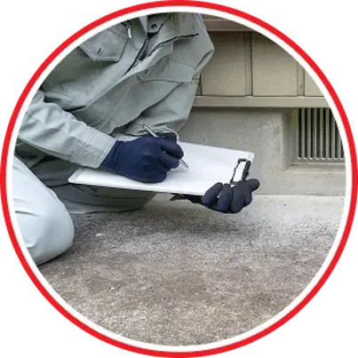 Real Estate Inspections